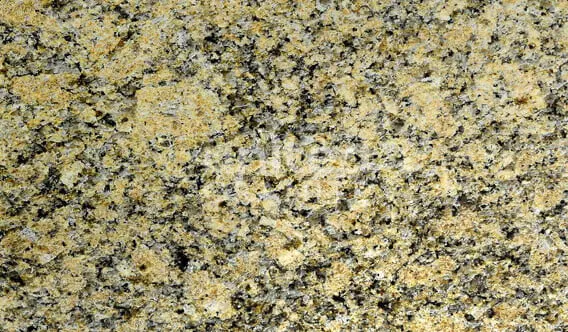 New Venetian Gold Granite Countertops