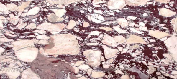 Calacatta Viola Marble Countertop