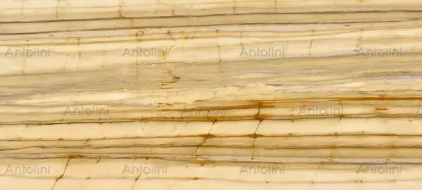 Zebrino Gold Marble Countertop