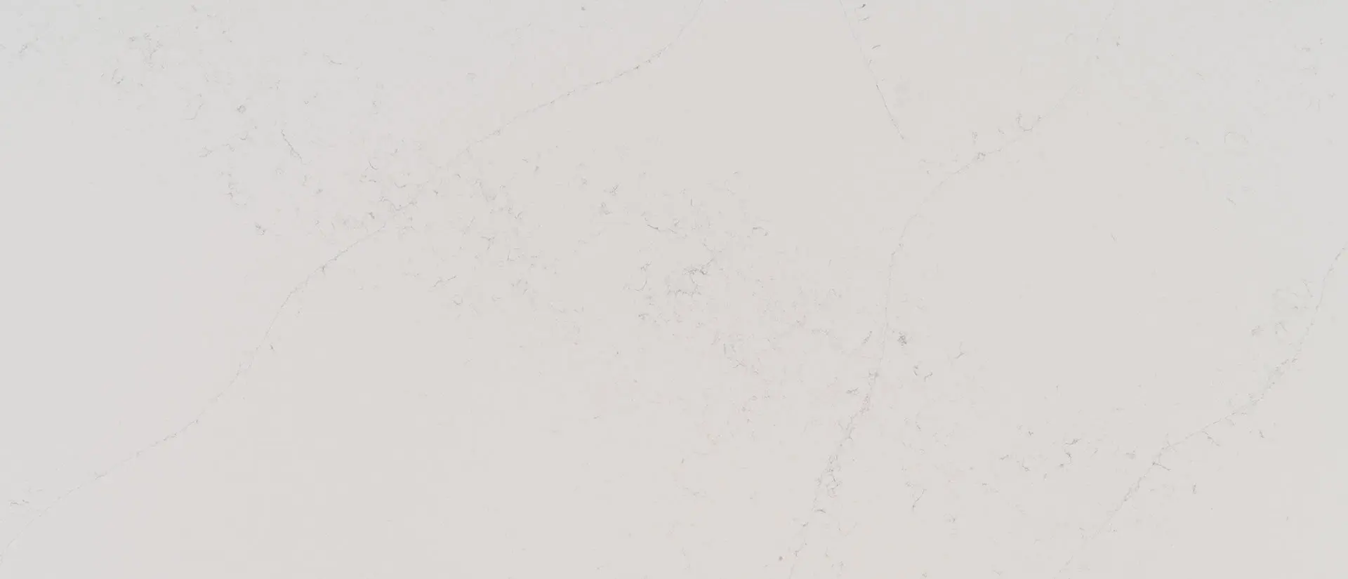 Calacatta Botanica Quartz Countertops