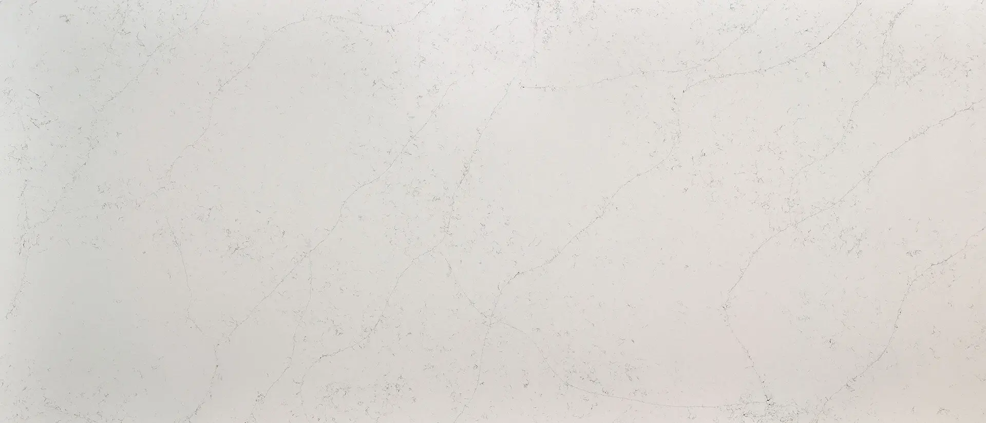 Calacatta Botanica Quartz Countertops