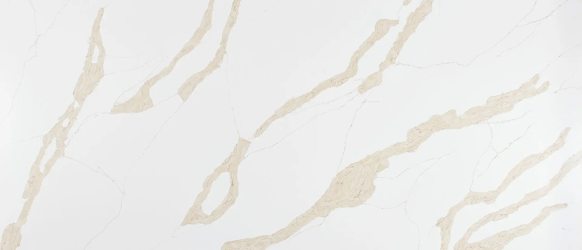 Calacatta Leon Gold Quartz Countertops