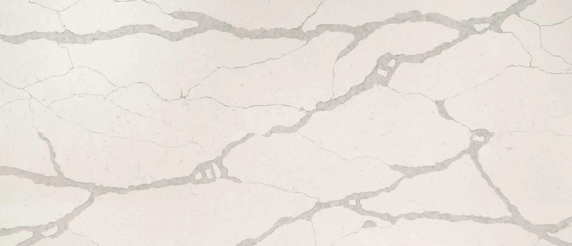 Calacatta Trento Quartz Countertops