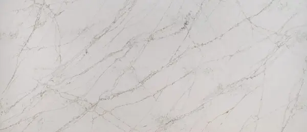 Calacatta Viraldi Quartz Countertops