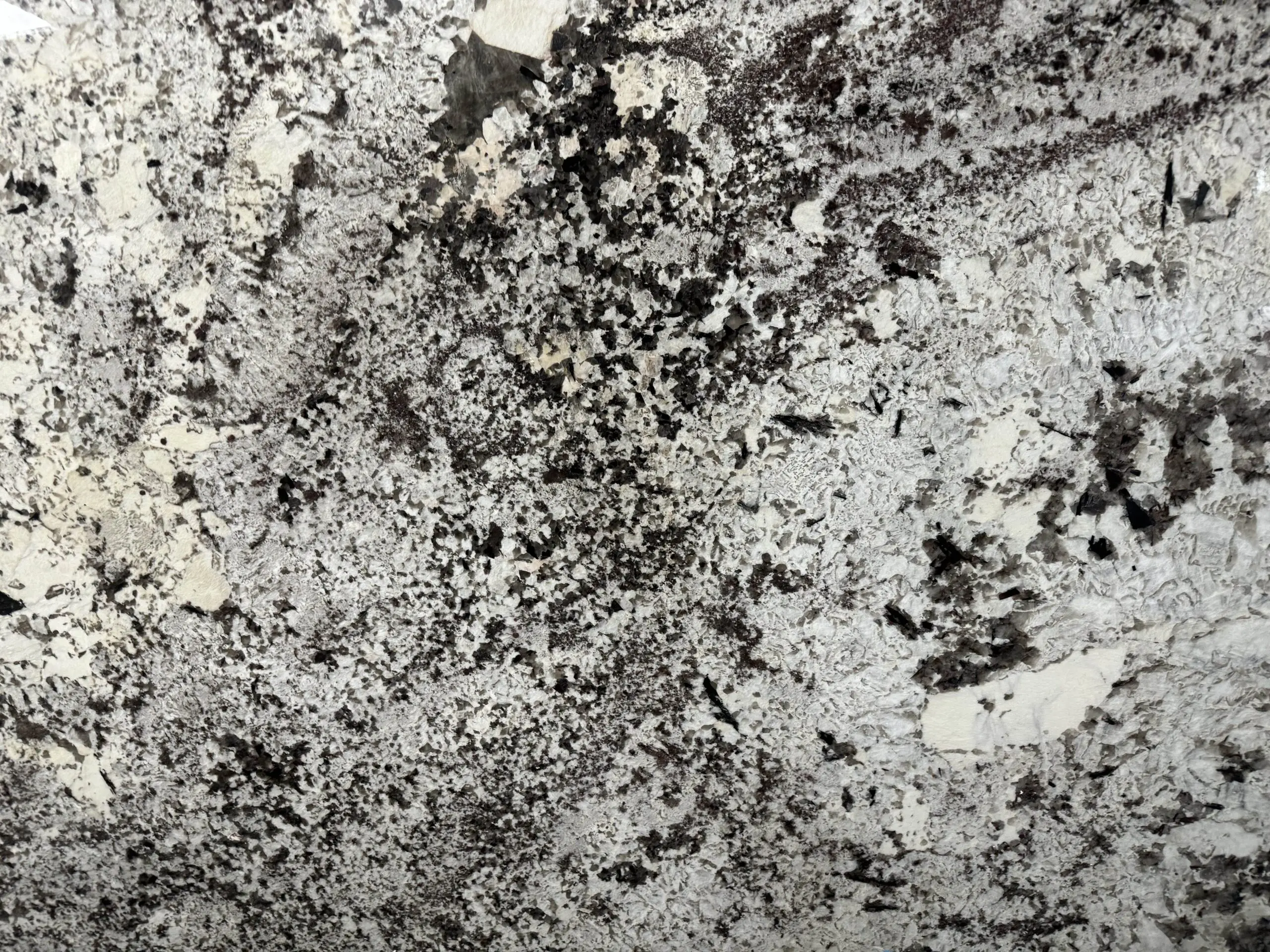 DELICATUS GRANITE