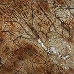 Rainforest Brown Marble Countertop