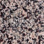 Violetta Granite Countertops