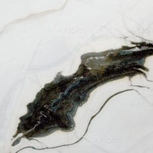 Bianco Lasa | Covelano Macchia Vecchia Marble Countertop