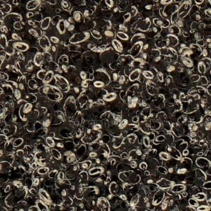 Shell Reef Black Marble Countertop