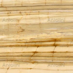 Zebrino Gold Marble Countertop