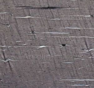 Brown Silk by Antolini Quartzite Countertop