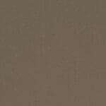 Fossil Brown Quartz Countertops